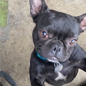 Meet your Posher, jeff